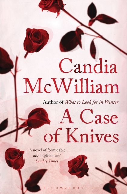 A Case of Knives, Candia McWilliam