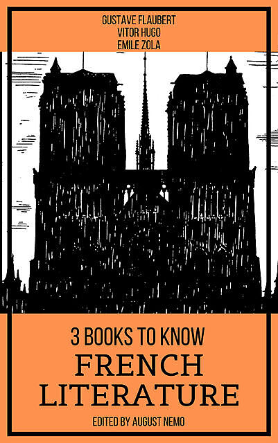 3 Books To Know French Literature, Victor Hugo, Gustave Flaubert, Émile Zola, August Nemo