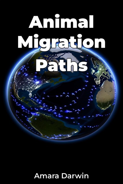 Animal Migration Paths, Amara Darwin