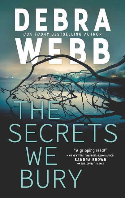 The Secrets We Bury, Debra Webb