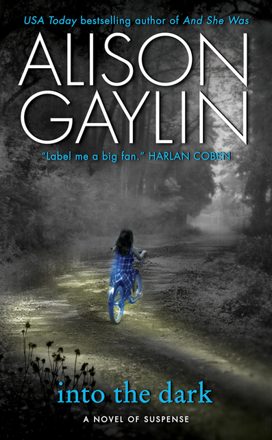 Into the Dark, Alison Gaylin