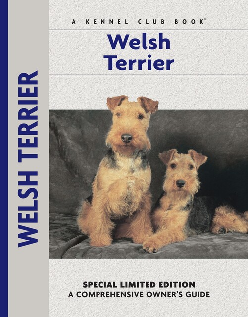 Welsh Terrier, Bardi McLennan