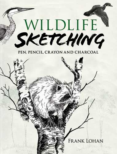 Wildlife Sketching, Frank J.Lohan