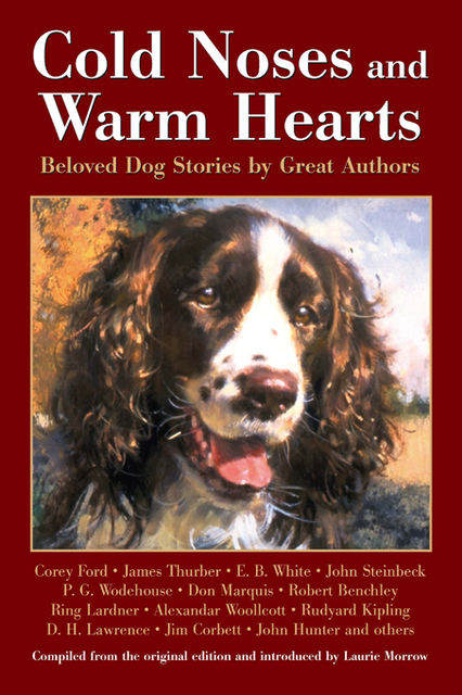 Cold Noses & Warm Hearts, Laurie Morrow