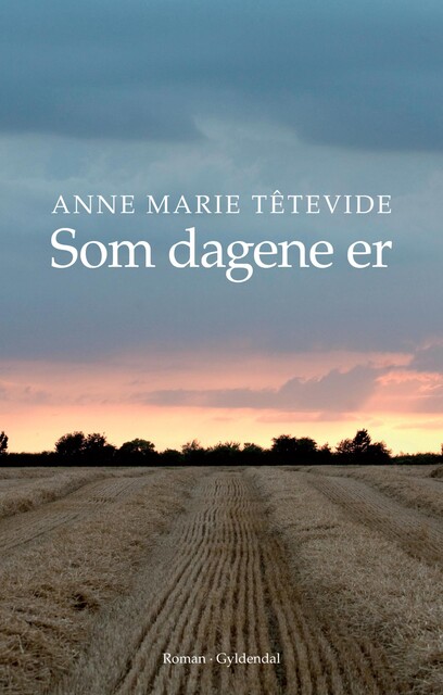 Som dagene er, Anne Marie Têtevide