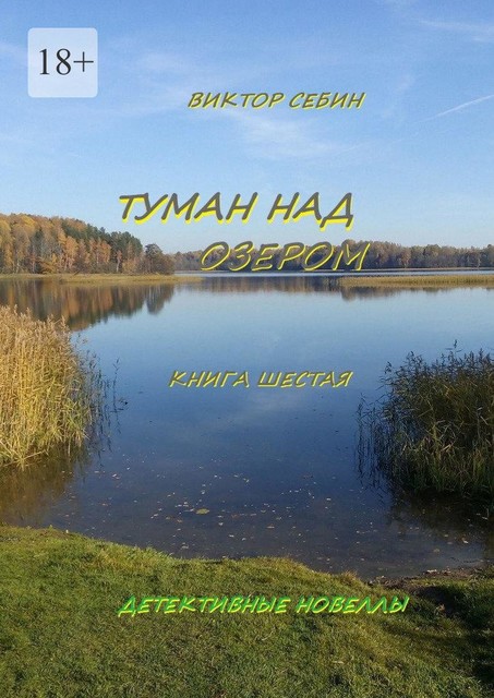 Туман над озером. Книга шестая, Виктор Себин