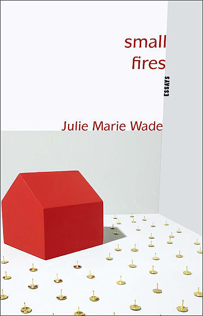 Small Fires, Julie Marie Wade