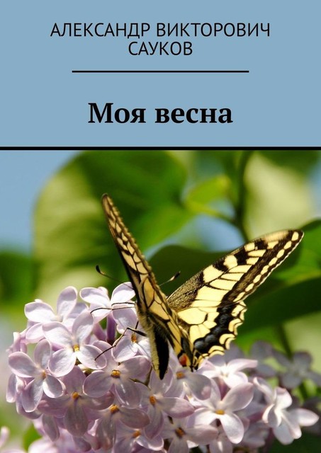 Моя весна, Александр Сауков