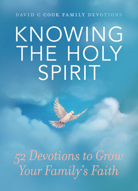Knowing the Holy Spirit, David Cook