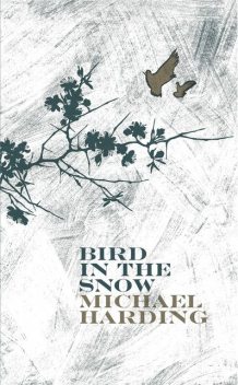 Bird in the Snow, Michael Harding