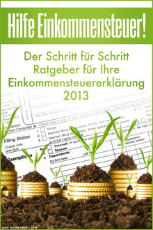 Hilfe Einkommensteuer! Der Schritt für Schritt Ratgeber für Ihre Einkommensteuererklärung 2013, Monika Haindl