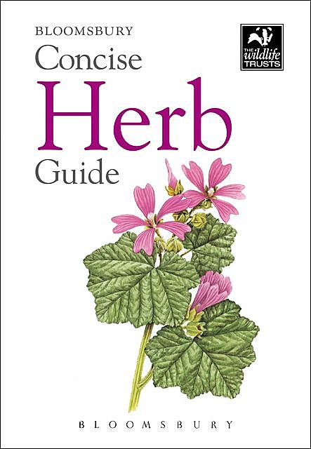 Concise Herb Guide, Bloomsbury Publishing