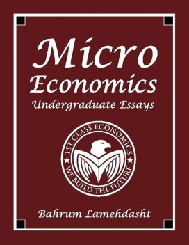 Microeconomics – Undergraduate Essays and Revision Notes, Bahrum Lamehdasht