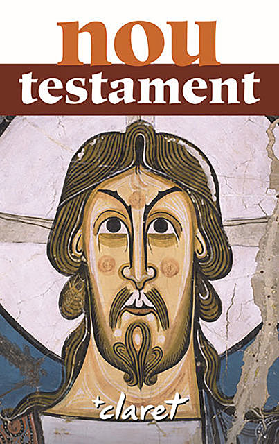Nou Testament, Ignasi Ricarat Fàbregas, Jaume Sidera Plana