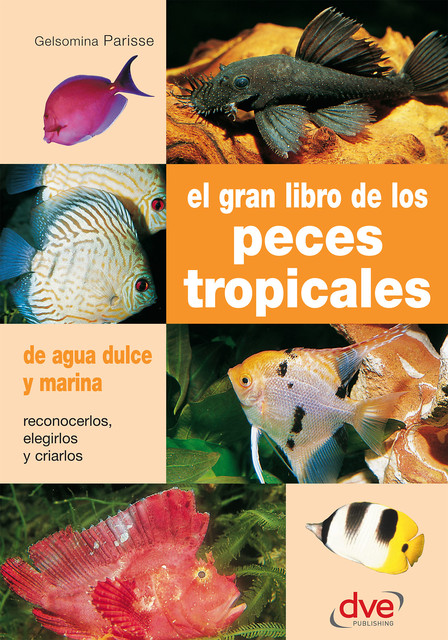 El gran libro de los peces tropicales, Gelsomina Parisse