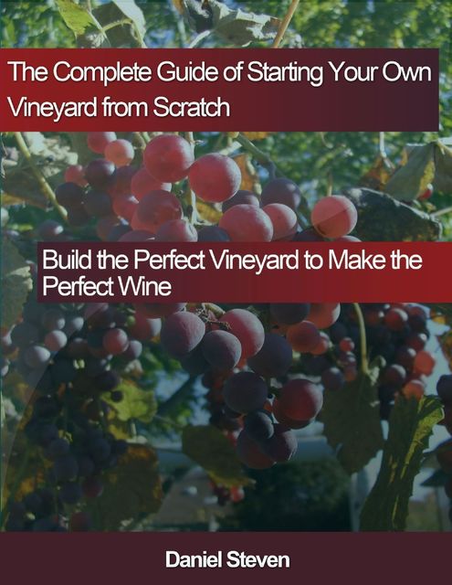 The Complete Guide of Starting Your Own Vineyard from Scratch: Build the Perfect Vineyard to Make the Perfect Wine, Daniel Steven