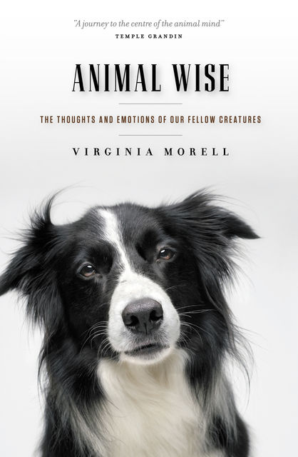 Animal Wise, Virginia Morell