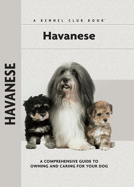 Havanese, Zoila Portuondo Guerra