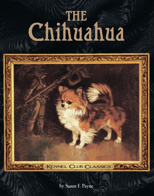 The Chihuahua, Susan Payne