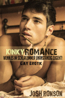 Kinky Romance: Gay Erotik, Josh Ronson