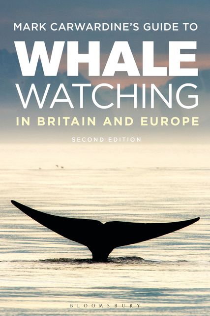 Mark Carwardine's Guide To Whale Watching In Britain And Europe, Mark Carwardine