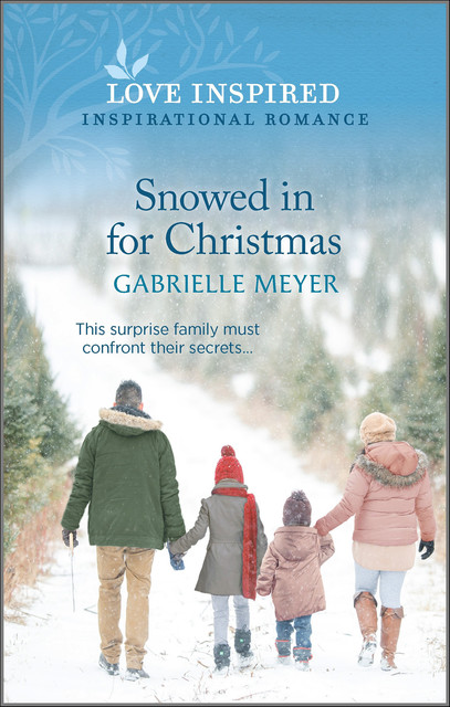 Snowed in for Christmas, Gabrielle Meyer