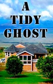 A tidy ghost, Peter Viney