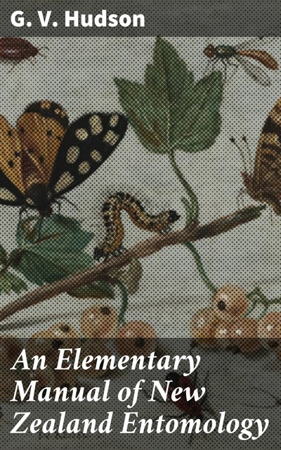 An Elementary Manual of New Zealand Entomology, G.V. Hudson