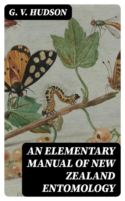 An Elementary Manual of New Zealand Entomology, G.V. Hudson