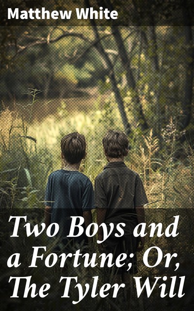 Two Boys and a Fortune; Or, The Tyler Will, Matthew White