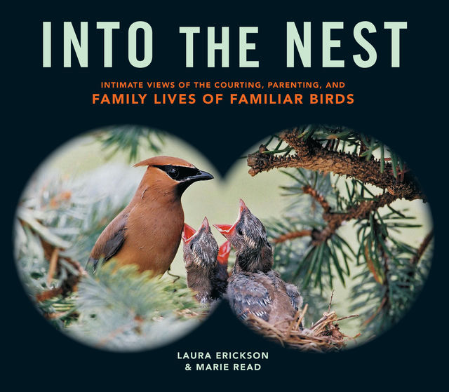 Into the Nest, Laura Erickson, Marie Read
