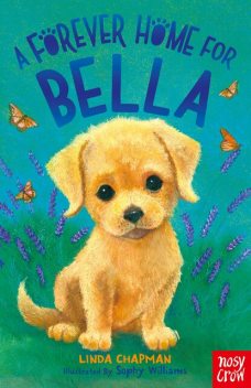 A Forever Home for Bella, Linda Chapman
