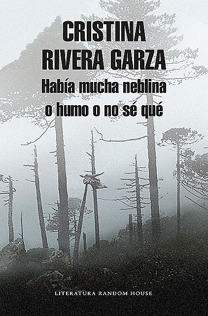 Había mucha neblina o humo o no sé qué, Cristina Rivera Garza