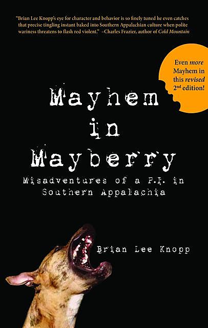 Mayhem in Mayberry, Brian Lee Knopp