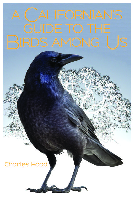 A Californian's Guide to the Birds among Us, Charles Hood