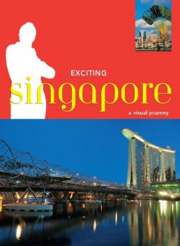 Exciting Singapore, David Blocksidge