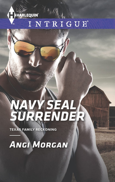 Navy SEAL Surrender, Angi Morgan