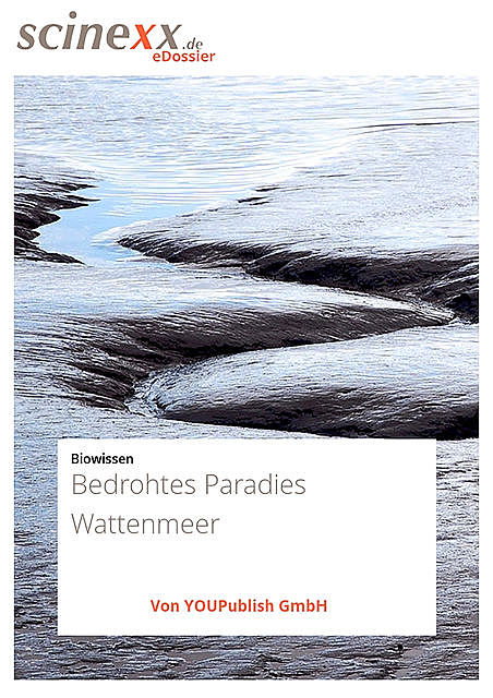 Bedrohtes Paradies Wattenmeer, Ute Schlotterbeck