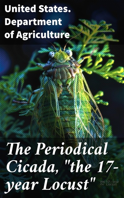 The Periodical Cicada, “the 17-year Locust”, United States. Department of Agriculture