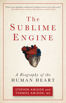 The Sublime Engine, Stephen Amidon, Thomas Amidon