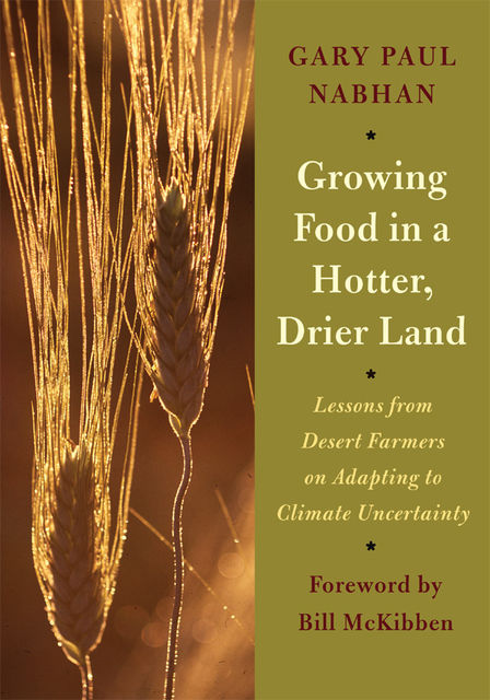 Growing Food in a Hotter, Drier Land, Gary Paul Nabhan
