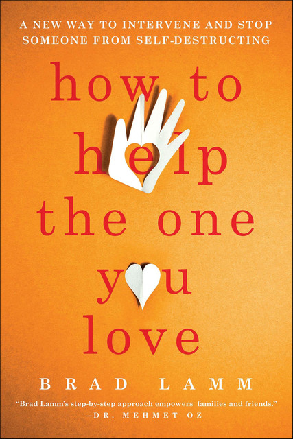 How to Help the One You Love, Brad Lamm