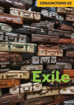 Exile, Peter Straub, Robin Hemley, Laura van den Berg, Lance Olsen, Maxine Chernoff