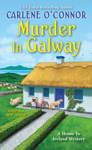Murder in Galway, Carlene O'Connor