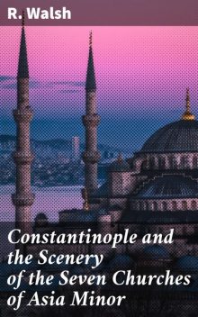 Constantinople and the Scenery of the Seven Churches of Asia Minor, Walsh