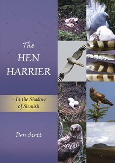The Hen Harrier, Don Scott