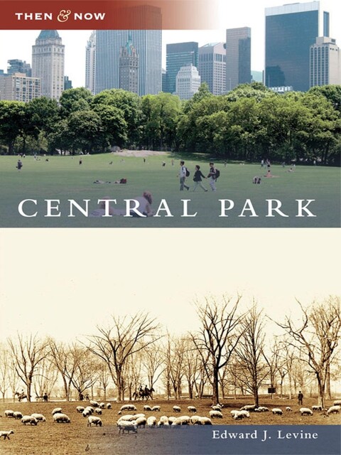 Central Park, Edward Levine