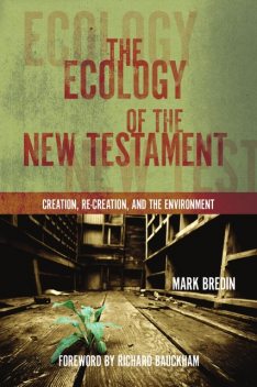 Ecology of the New Testament, Mark Bredin