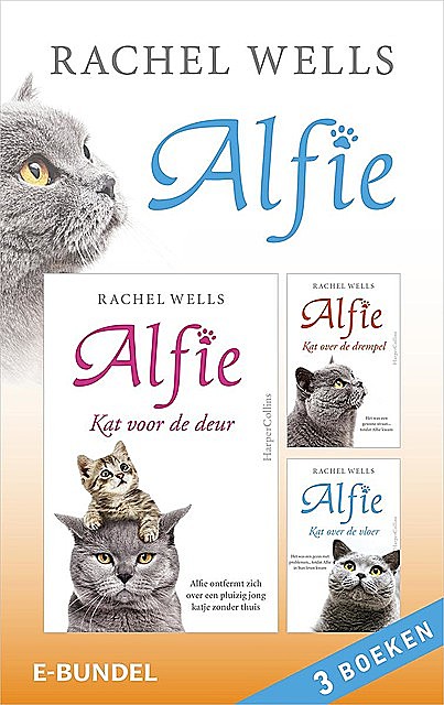 Alfie, Rachel Wells