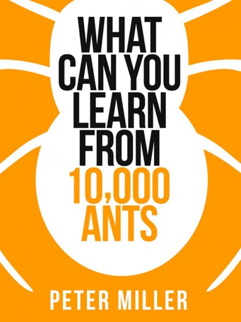 What You Can Learn From 10,000 Ants (Collins Shorts, Book 4), Peter Miller